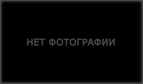 Картинки нет Картинки нет
